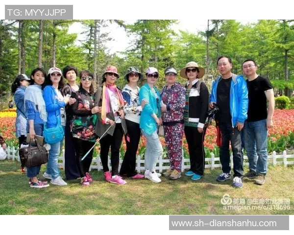 篮球明星与球迷心连心共同追逐梦想的热血旅程