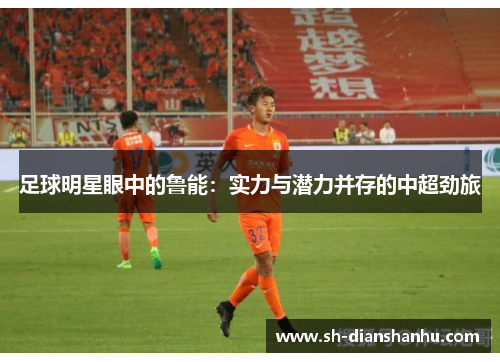 足球明星眼中的鲁能:实力与潜力并存的中超劲旅 足球明星眼中的鲁能:实力与潜力并存的中超劲旅