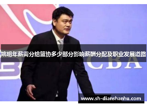 姚明年薪需分给篮协多少部分影响薪酬分配及职业发展道路 姚明年薪需分给篮协多少部分影响薪酬分配及职业发展道路