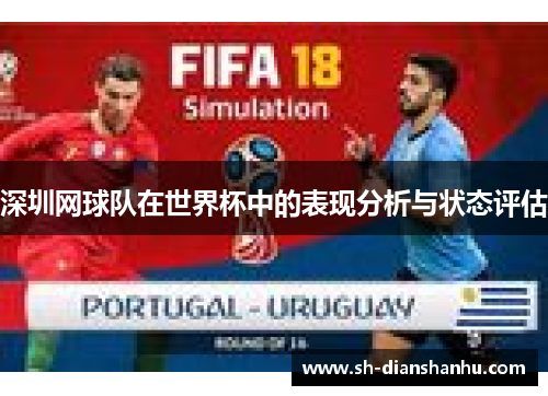 深圳网球队在世界杯中的表现分析与状态评估