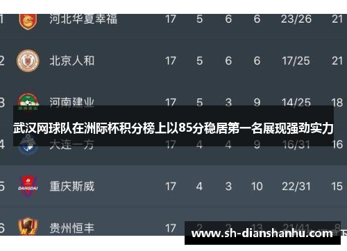 武汉网球队在洲际杯积分榜上以85分稳居第一名展现强劲实力