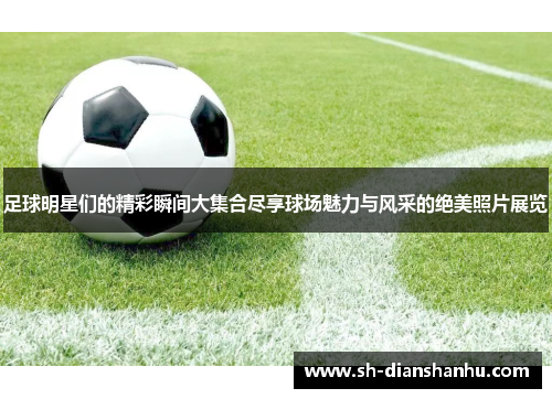 足球明星们的精彩瞬间大集合尽享球场魅力与风采的绝美照片展览